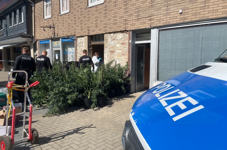 Zahlreiche Cannabis-Pflanzen und weitere Utensilien wurden beschlagnahmt