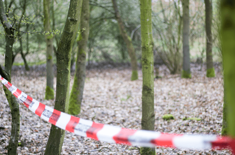 Vermisste Frau aus dem Bereich Schöppenstedt bei Hildesheimer Wald tot aufgefunden