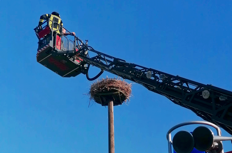 Die Freiwillige Feuerwehr Schöppenstedt hat den NABU unterstützt. Für eine Artenschutzaktion ging es nach Weferlingen.