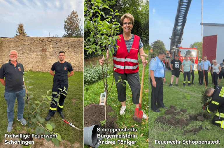 Apfelbaumchallenge in der Region Schöppenstedt, Schöningen