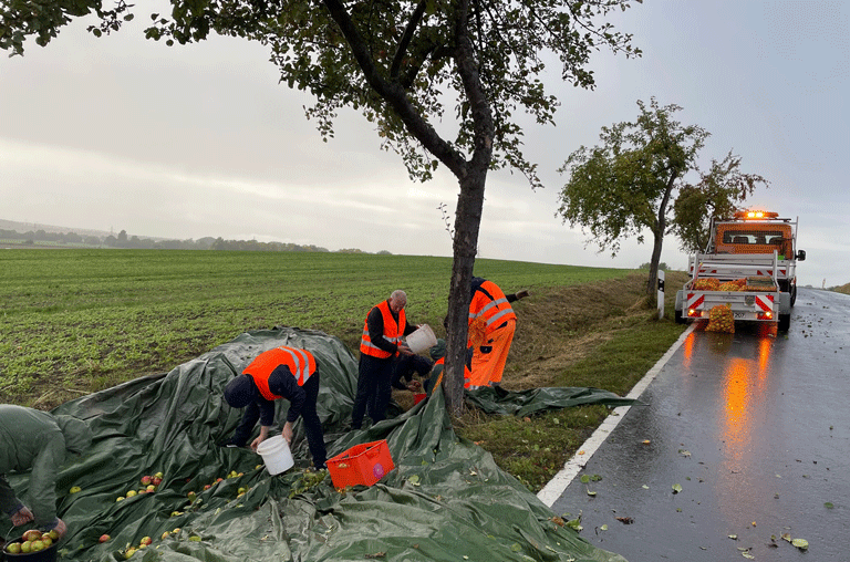 Der Landkreis Wolfenbüttel plant eine Apfelsammelaktion am 10. Oktober in Klein Denkte und wirbt um ehrenamtliche Helfer.