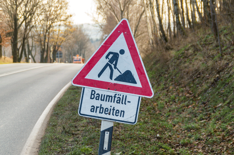Auf der B79 bei Wendessen müssen Autofahrer ab Ende Oktober besonders aufpassen. Dort werden zusätzlich zu den Arbeiten am Radweg Bäume gefällt.