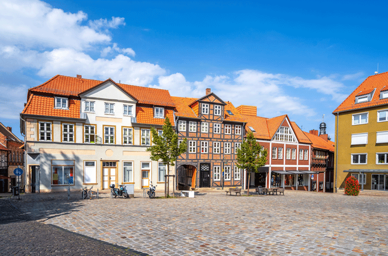 Am 2. November 2025 findet der 24. Gänsemarkt in der Helmstedter Altstadt statt. Er wird von mehreren Veranstaltungen begleitet.