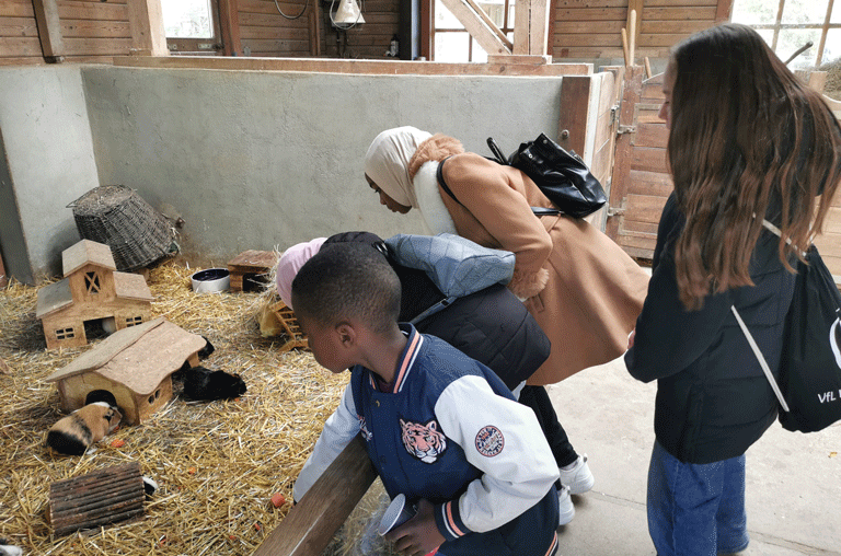 Im Rahmen der LernRäume waren die Betreuerinnen mit Kindern auch in den Herbstferien unterwegs. Sie besuchten den Tierpark Essehof.