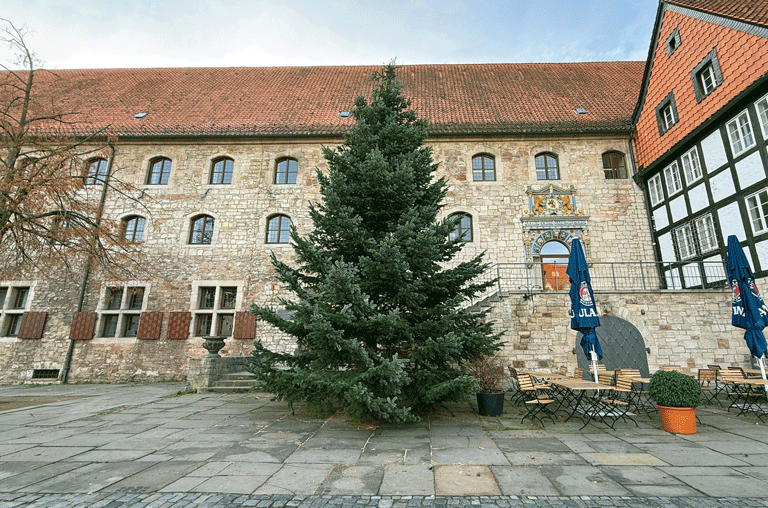 In Braunschweig zieht langsam die Vorweihnachtszeit ein. Seit heute stehen zwei große Tannen auf dem Domplatz und dem Altstadtmarkt.