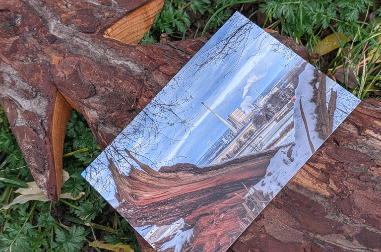 In Schöningen startet auch in diesem Jahr die beliebte Weihnachtspostkartenaktion von Lars Marschalleck. Gut 2.000 Stück sind verfügbar.