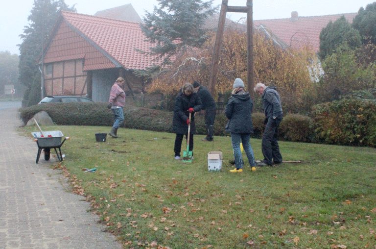 Fünf Freiwillige pflanzten in Sambleben Blumenzwiebeln in die Erde. Sie sollen die Wiese 2026 zum Blühen bringen.