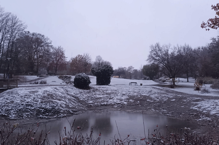 Während es bei winterlichen Temperaturen gerade angefangen hat zu schneien, stehen einige Schöninger ohne Strom daheim da.